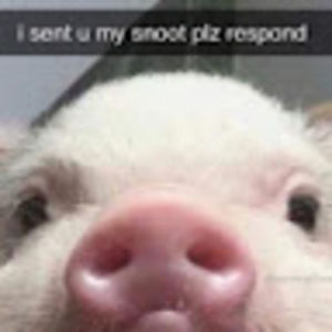 Meet your Posher, Olivia